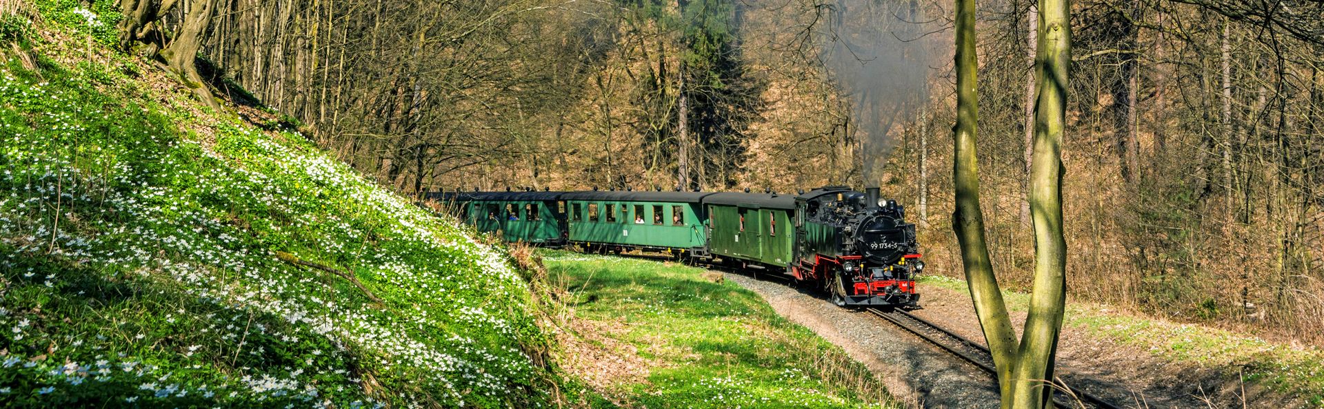 Durch den wildromantischen Rabenauer Grund verkehrt die Weißeritztalbahn im Osterzgebirge